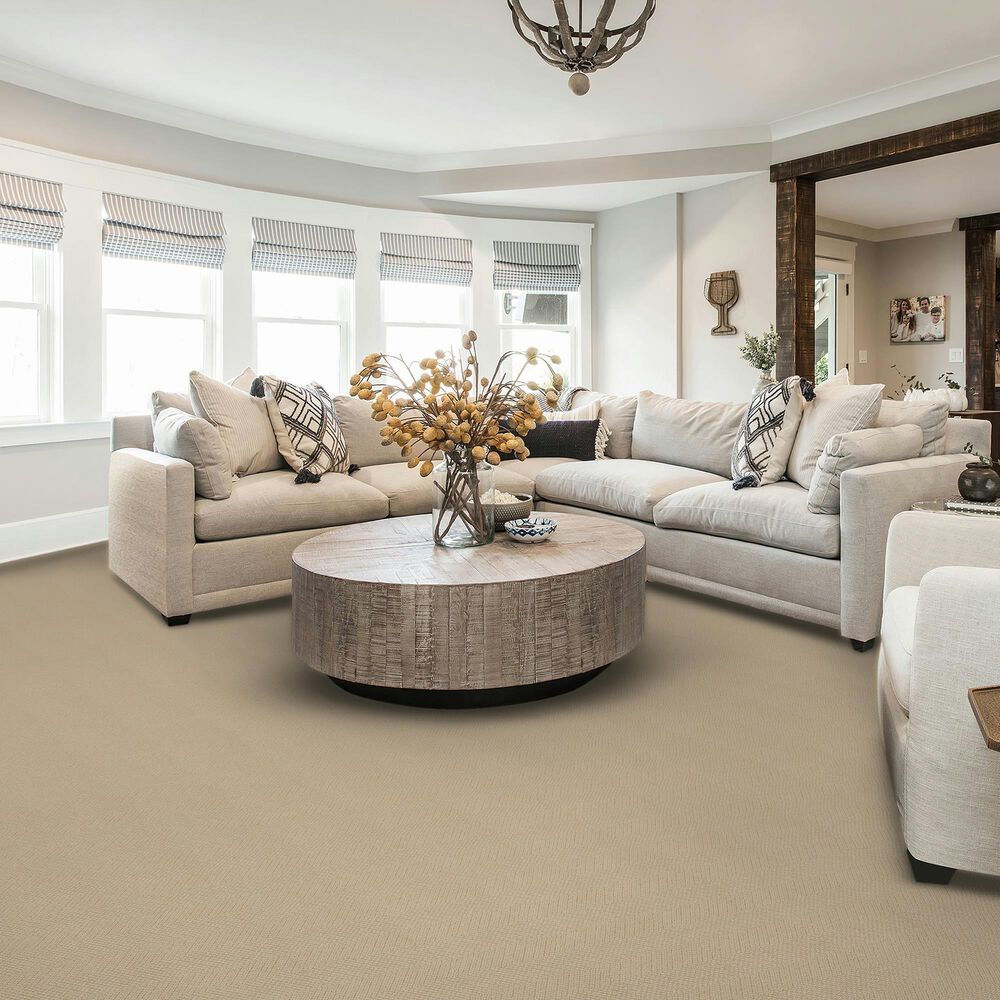 Karastan Stippled Carpet in Emilio, , large