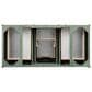 James Martin Vanities Chicago 48" Single Bathroom Vanity in Smokey Celadon with 3 cm Eternal Jasmine Pearl Quartz Top and Rectangular Sink, , large