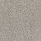 Dream Weaver Affinity II Carpet in Wheat, , large
