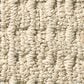 Anderson Tuftex Truly Delightful Carpet in Fine Sand, , large