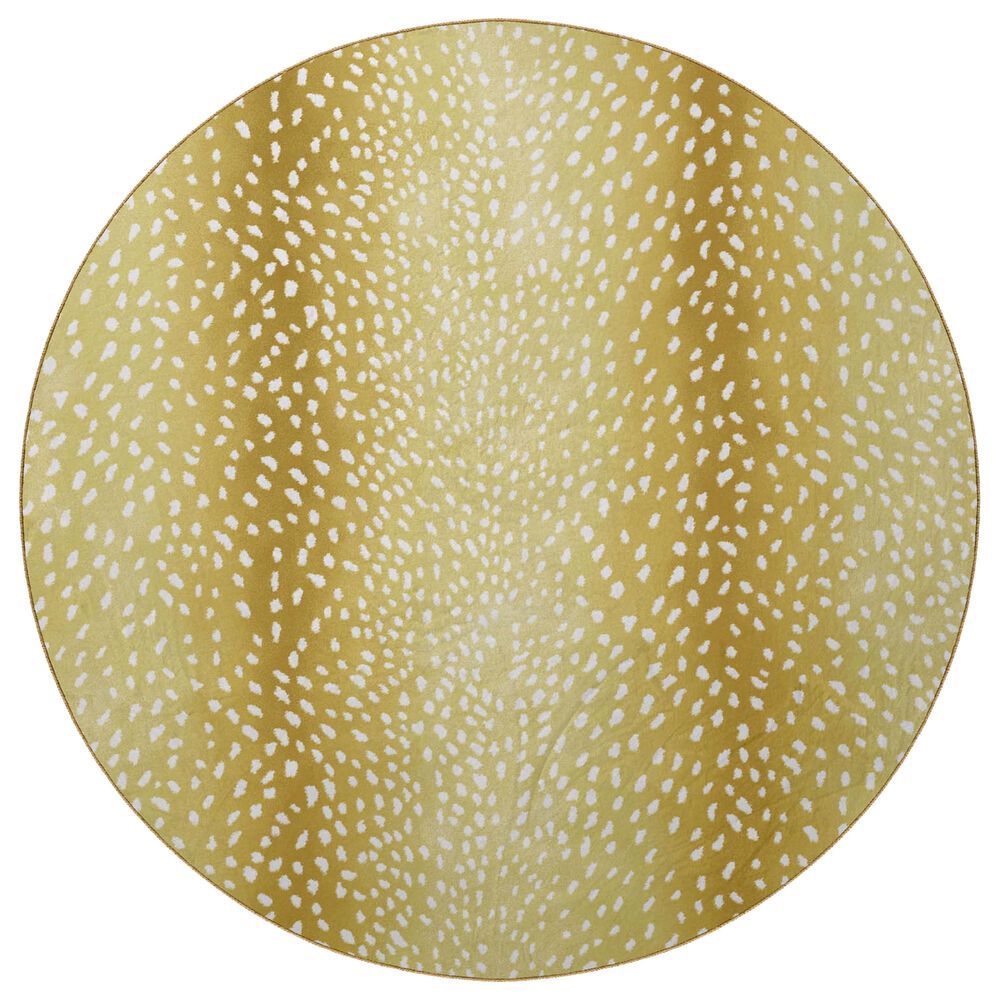 Dalyn Rug Company Akina AK3 8" Round Gold Area Rug, , large