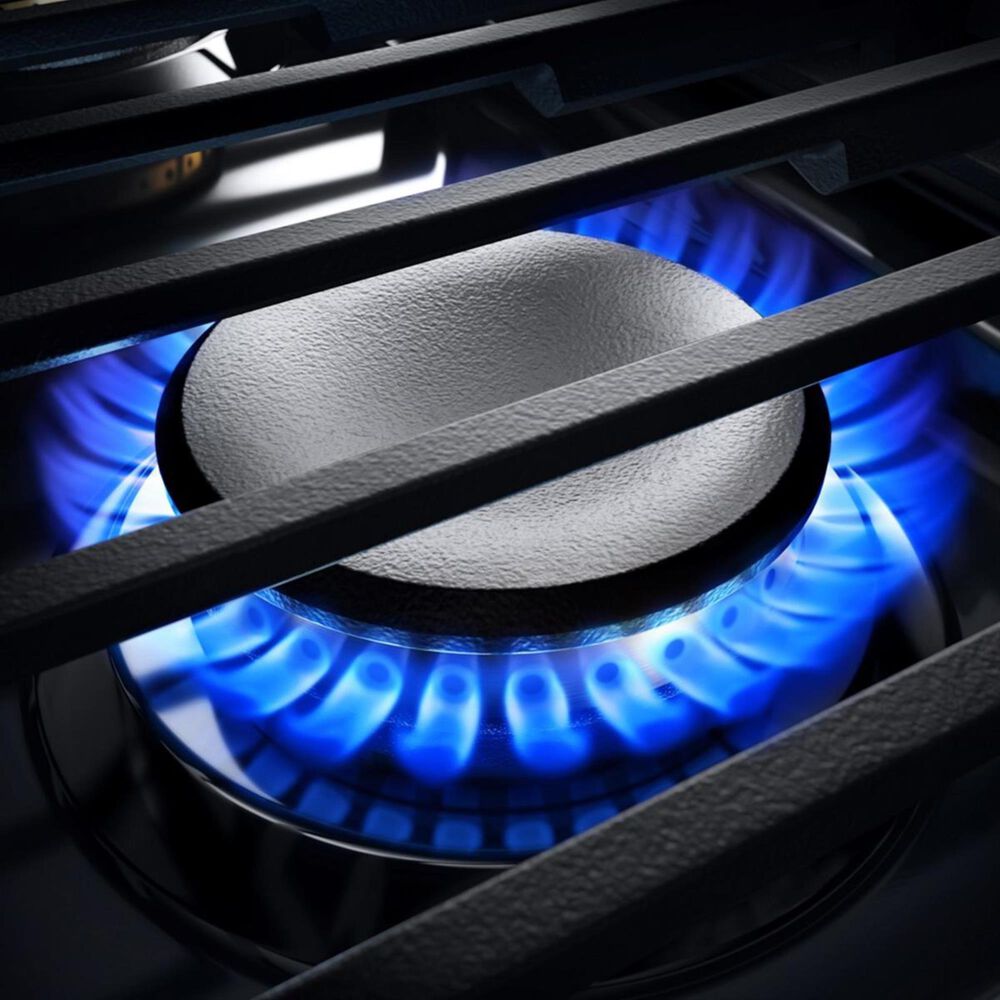 JennAir Noir 30" DualFuel Professional Range in Stainless Steel