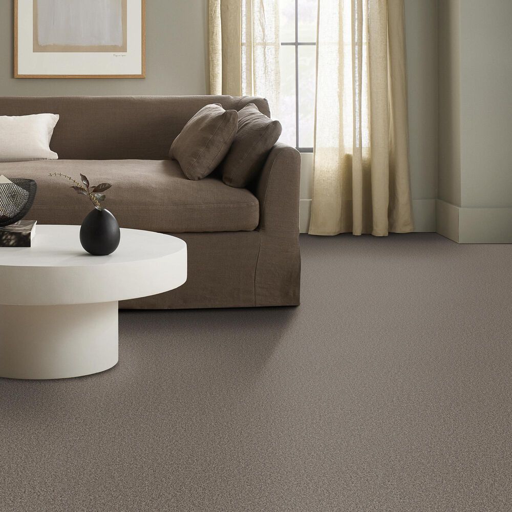Anderson Tuftex Wyndham Estate Carpet in Ottertail, , large