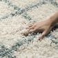 Safavieh Dallas Shag SGD258J-3 3" x 5" Ivory/Seafoam Area Rug, , large