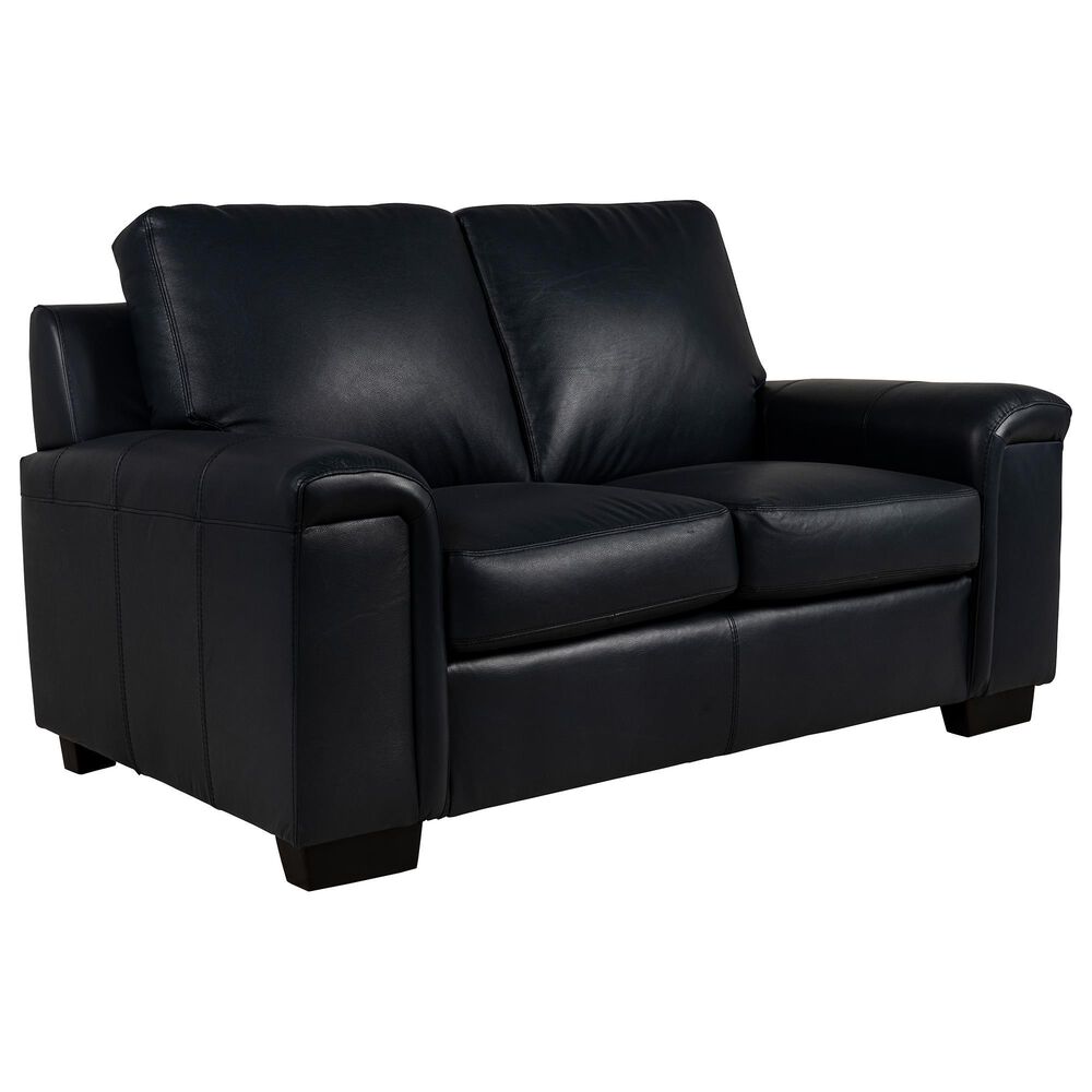 North American Leather Co Icon Leather Loveseat in Navy, , large