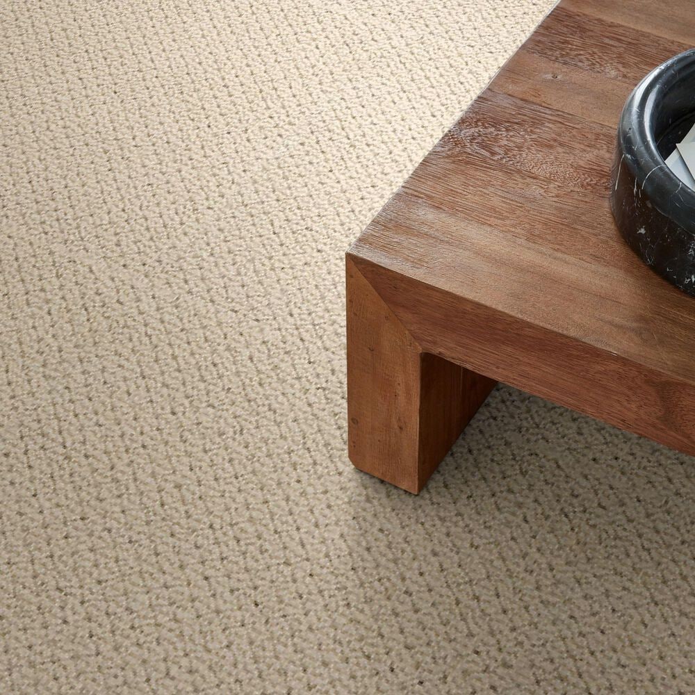 Anderson Tuftex Mera Carpet in Biscuit, , large