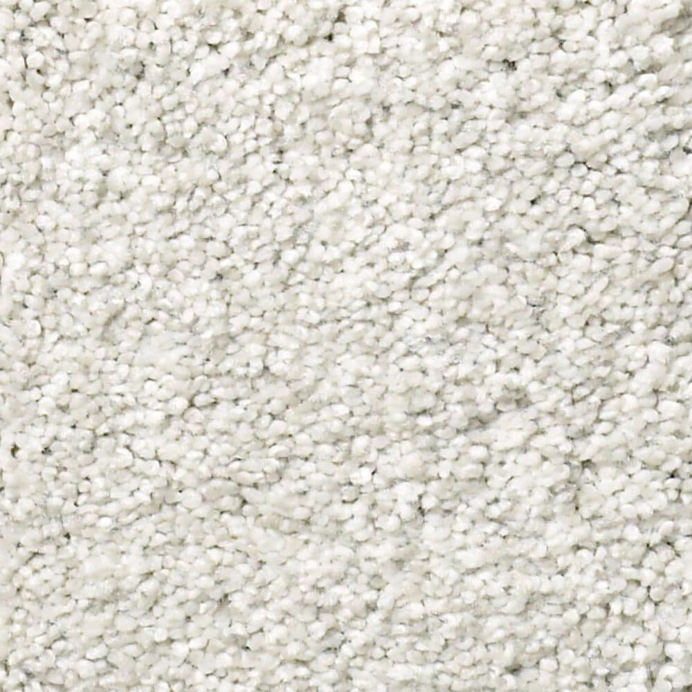 Shaw Find Your Comfort TT II Carpet in Coming Home, , large