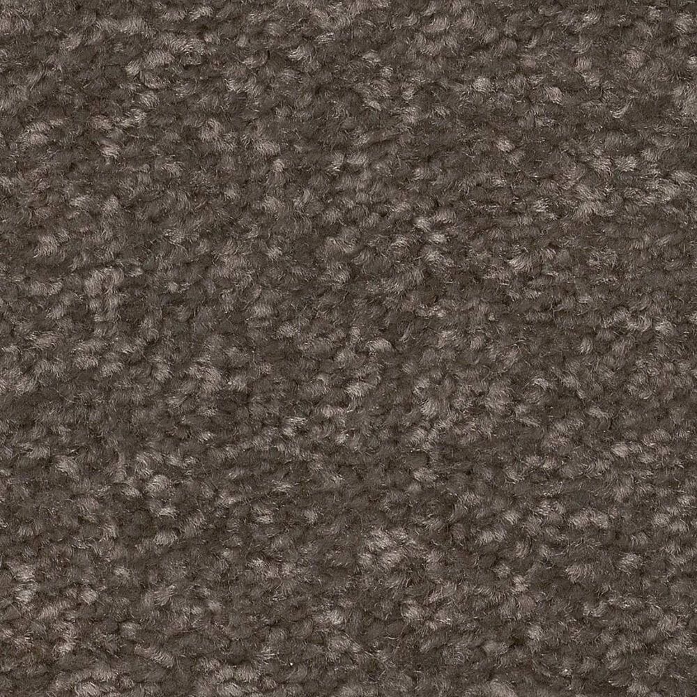 Shaw Hard At Play II Carpet in Urban Rustic, , large
