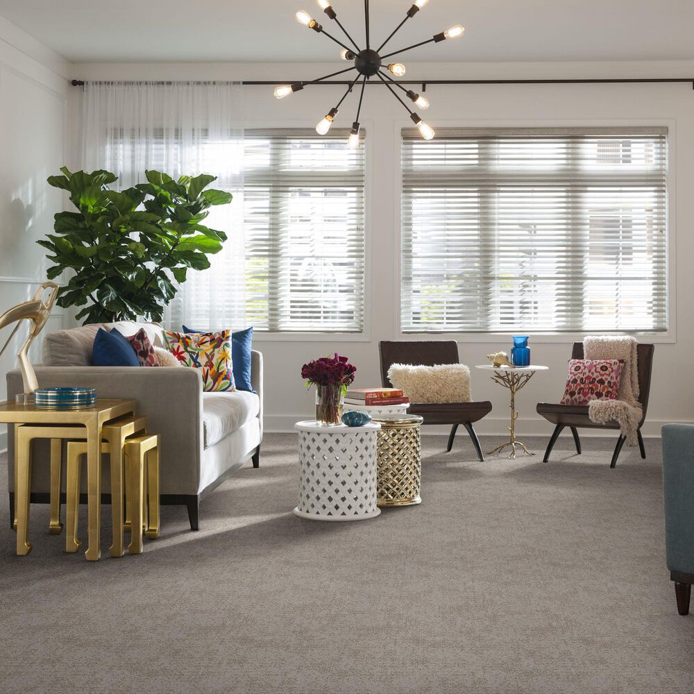 Anderson Tuftex Caress Artistic Presence Carpet in Baltic Stone, , large