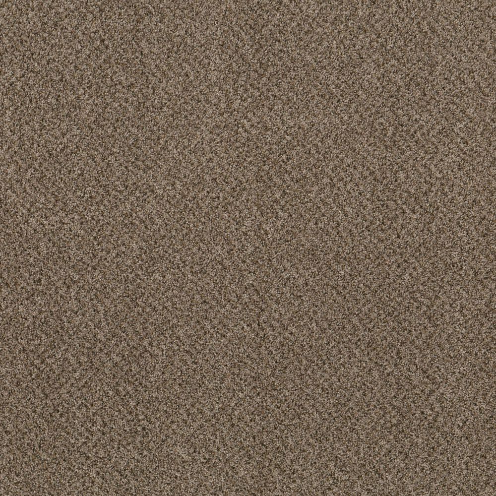 Philadelphia Mixed Essentials Carpet in Raw Wood, , large