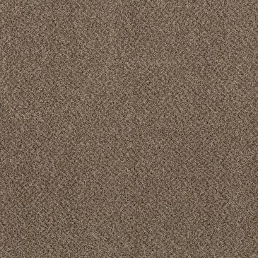 Shaw Mixed Essentials Carpet in Raw Wood, , large