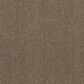 Philadelphia Mixed Essentials Carpet in Raw Wood, , large