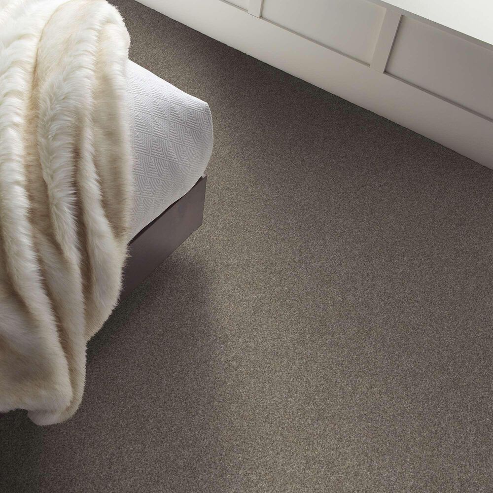 Shaw After It II Carpet in Pebble Walk, , large