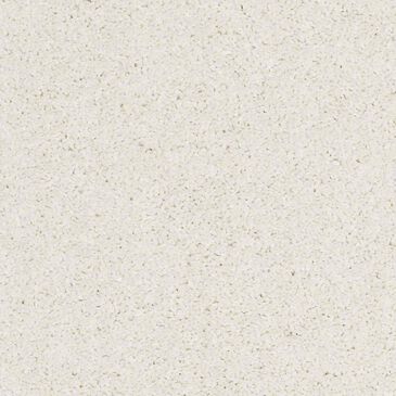 Anderson Tuftex Barracan Classic I Carpet in Icelandic, , large