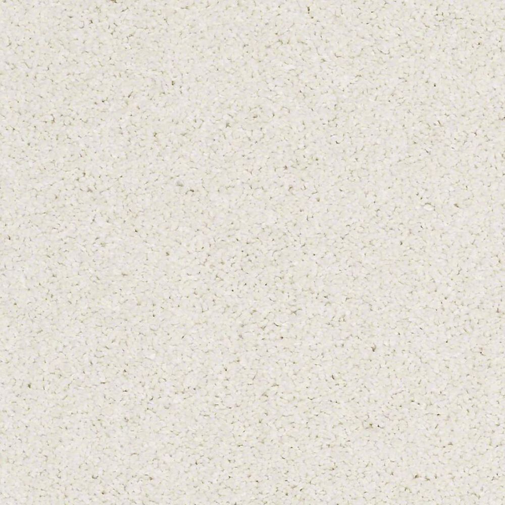 Anderson Tuftex Barracan Classic I Carpet in Icelandic, , large