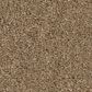 Anderson Tuftex Enchanting Carpet in Latte, , large