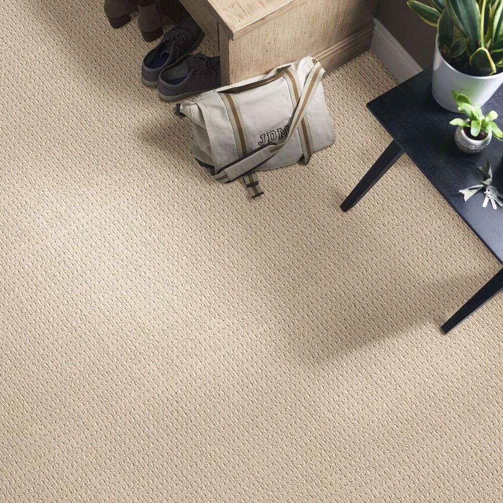 Anderson Tuftex Truly Delightful Carpet in Down Feather NFM