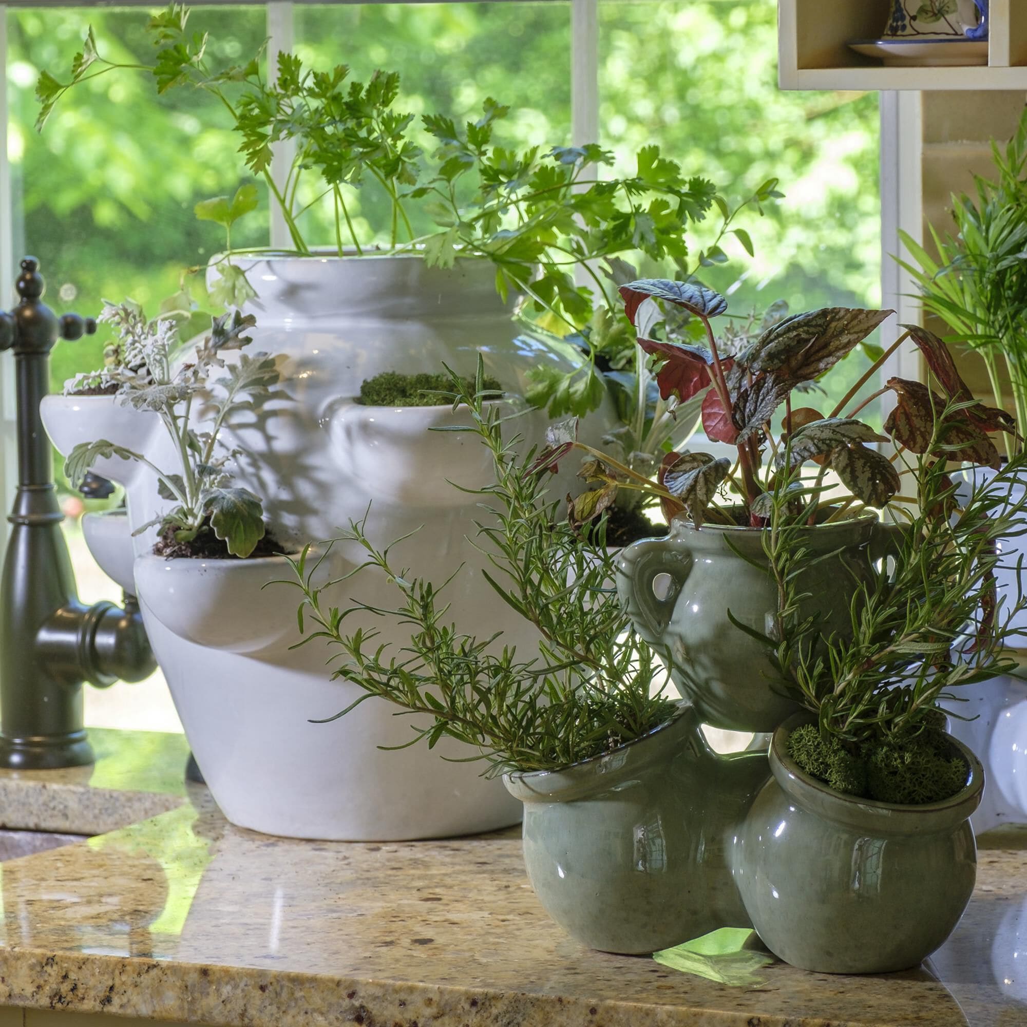 Zentro Living Willows 8-Pocket Strawberry Patio Jar in Lace