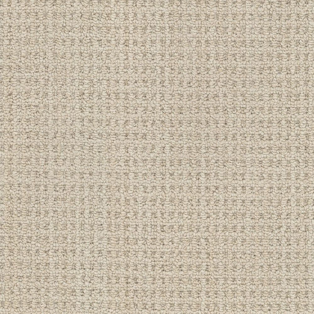 Masland Take It Easy Carpet in Montezuma, , large