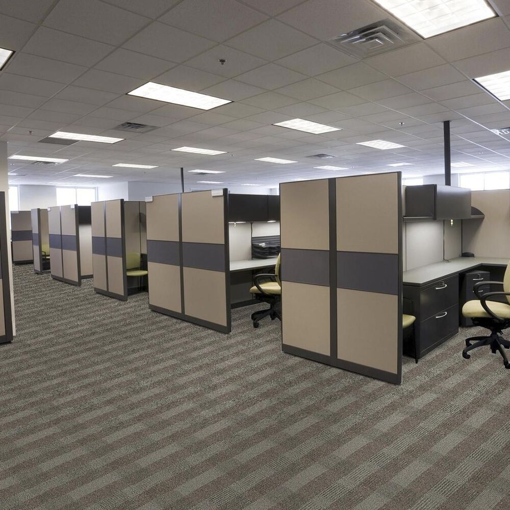 Shaw Square Deal Carpet in Agreement, , large