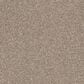 Shaw Acadia Park Carpet in Caribou, , large