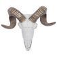 Maple and Jade 12" x 14" Farmhouse Sheep Skull Wall Decor in White and Bronze, , large