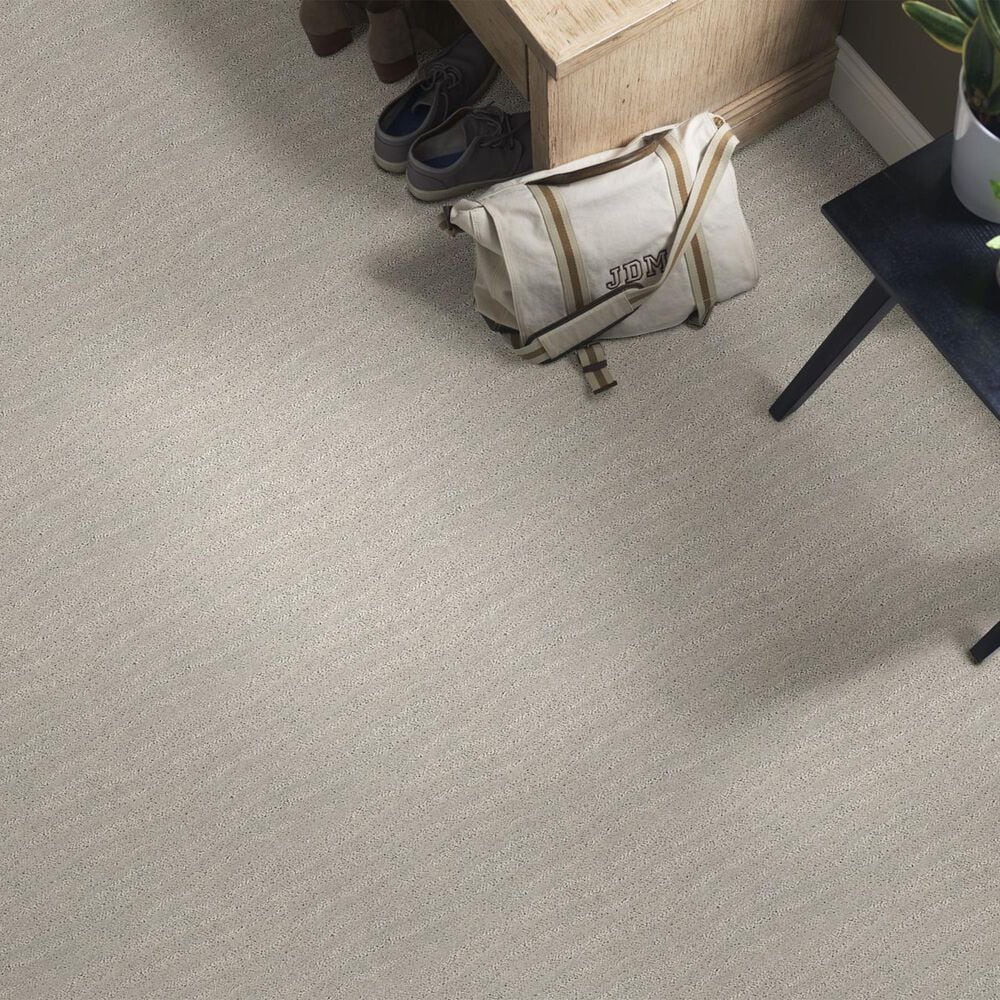 Anderson Tuftex Matisse Carpet in Gentle Gray, , large