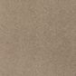 Mohawk Coastal Luxury III Carpet in Soft Feather, , large