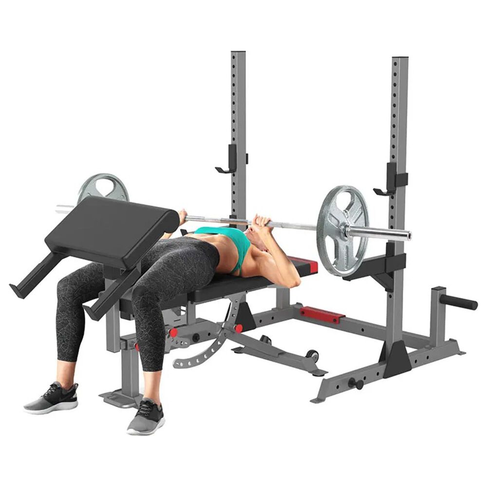 ProForm Carbon Olympic System in Black, Gray and Blue Nebraska