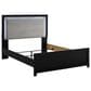 Ashley Maeling 4 Piece Queen Panel Bedroom Set in Matte Black, , large