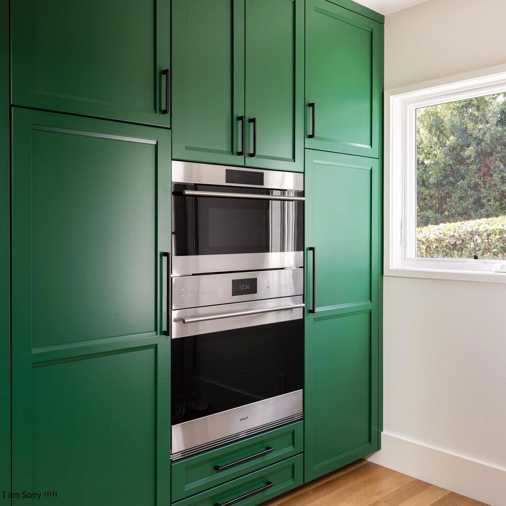 Wolf Appliances 1.6 Cu. Ft. E Series Transitional Drop-Down Door Microwave Oven in Stainless Steel, , large