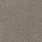 Mohawk Windsor Gardens I Carpet in Smokescreen, , large