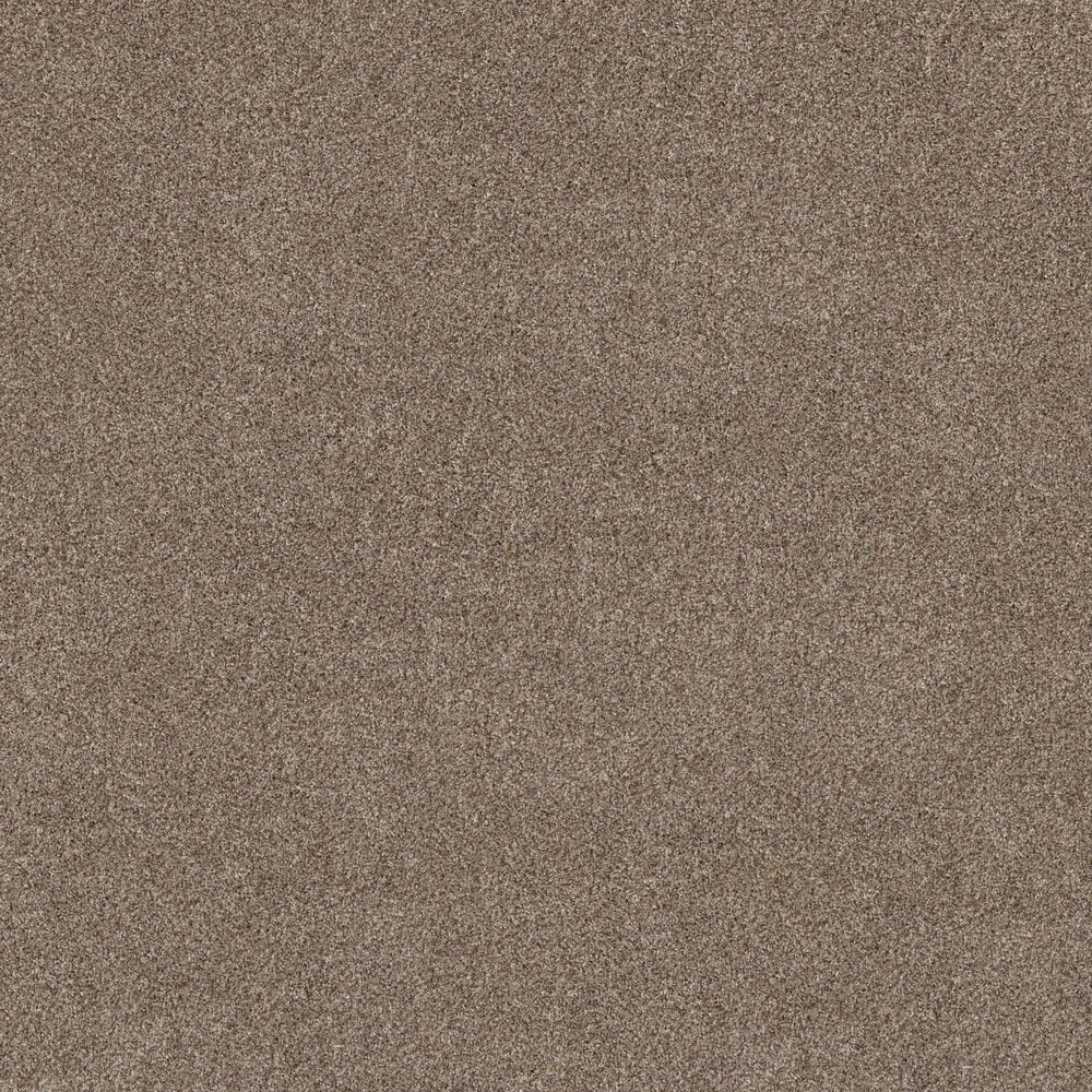 Shaw Grand Outlook Carpet in Hearth Stone, , large