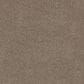 Shaw Grand Outlook Carpet in Hearth Stone, , large