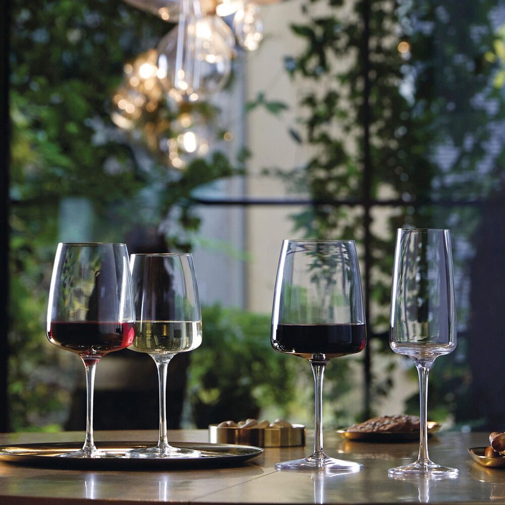 Bormioli Planeo Red Wine Glasses in Clear &#40;Set of 4&#41;, , large