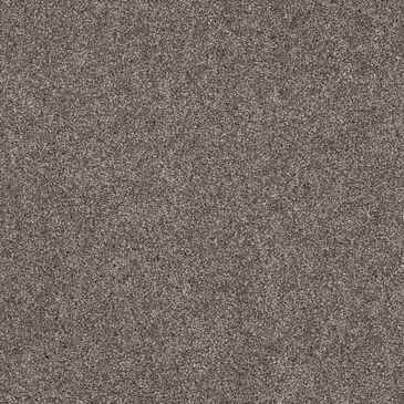 Shaw Yes You Can III Carpet in Ashes, , large
