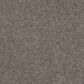 Shaw Yes You Can III Carpet in Ashes, , large