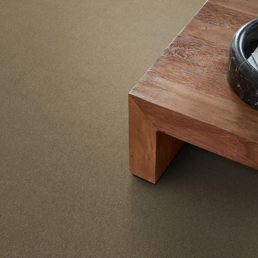 Shaw Phenomenal Carpet in Prairie, , large