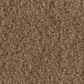 Anderson Tuftex Luxe Feel II Carpet in Dried Chamomile, , large