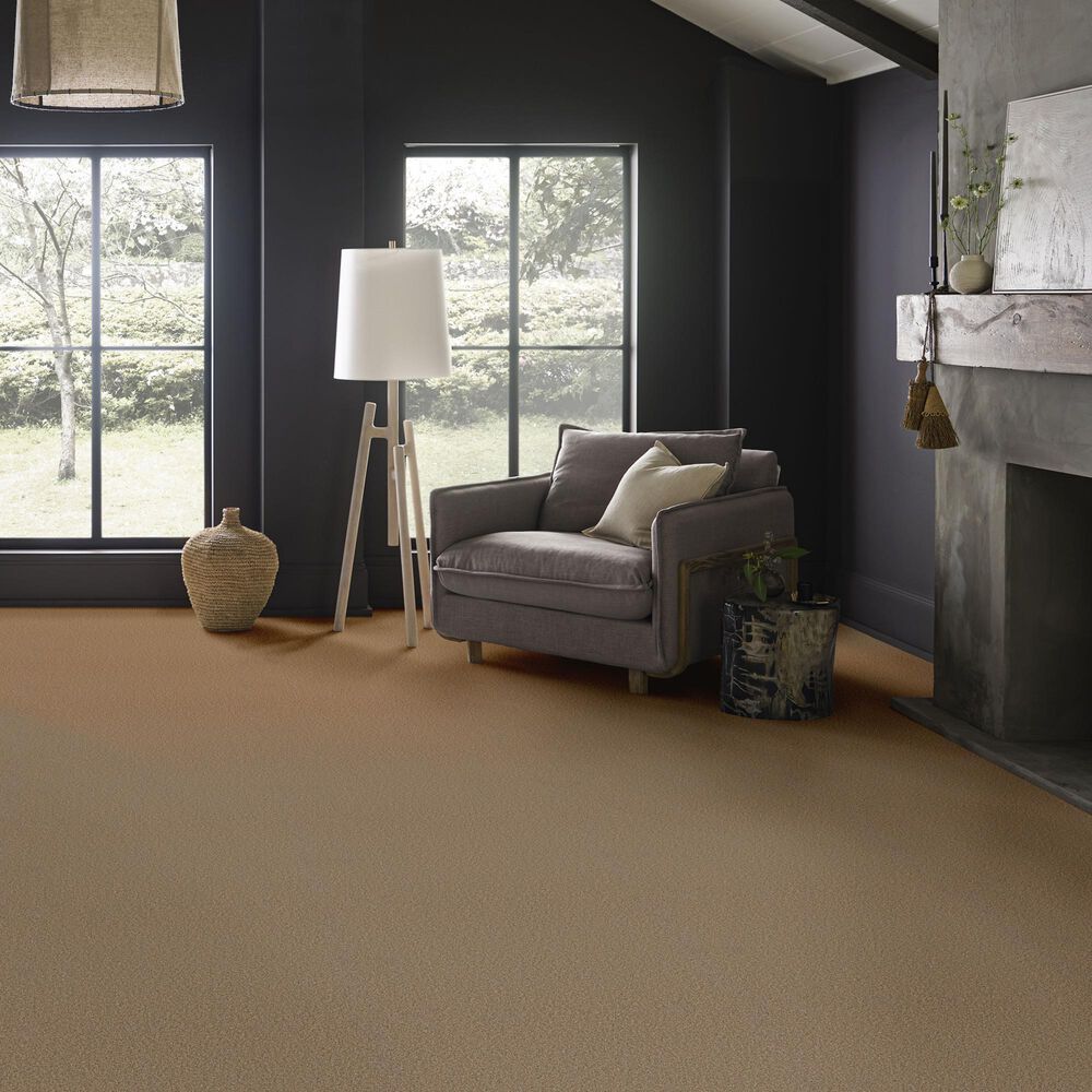 Anderson Tuftex Wyndham Estate Carpet in Toffee, , large