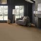 Anderson Tuftex Wyndham Estate Carpet in Toffee, , large