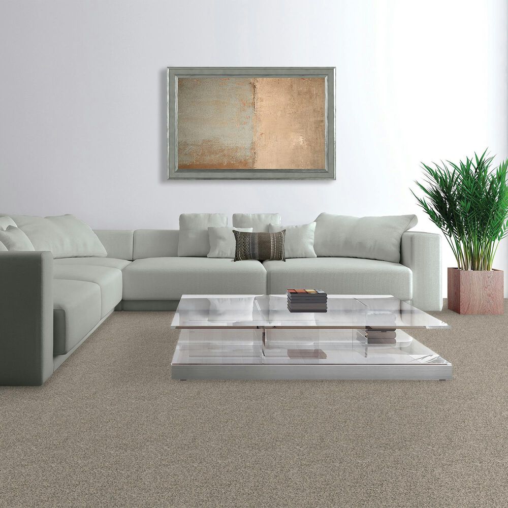 Mohawk Paw Pathway Carpet in Mushroom, , large