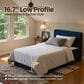 HOMLUX Plush Twin Mattress with Blue Headboard, , large