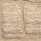 Loloi Hughes Natural 7"9" x 9"9" Area Rug, , large