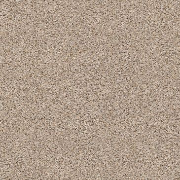 Shaw Abilene II Carpet in Acreage, , large