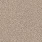Shaw Abilene II Carpet in Acreage, , large