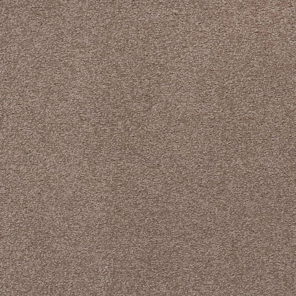 Other Tropical Vision Carpet in Fieldstone, , large