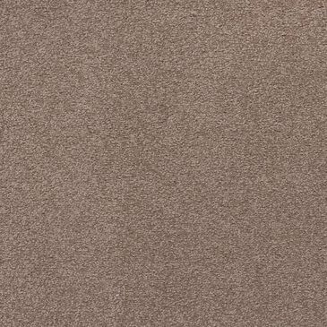 Other Tropical Vision Carpet in Fieldstone, , large