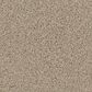 Phenix Catania Carpet in Artifact, , large
