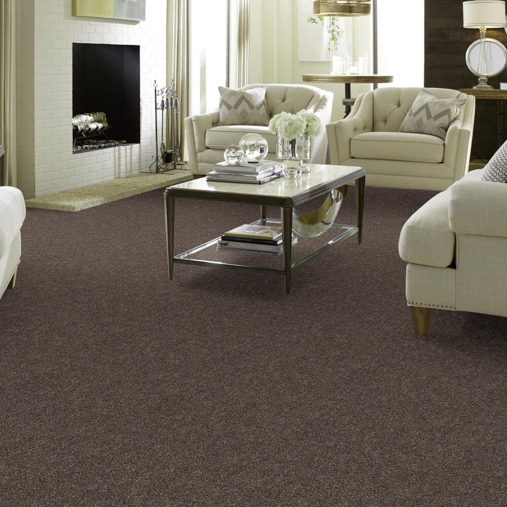 Shaw Break Away Solid Carpet in Weathered Wood, , large